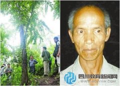 深圳爺孫疑遭劫殺：爺爺掛尸樹上 孫子浮